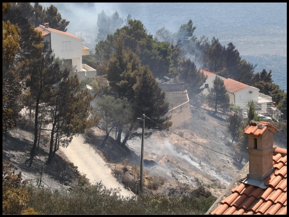 Foto: Nikola Brboleza/Cropix